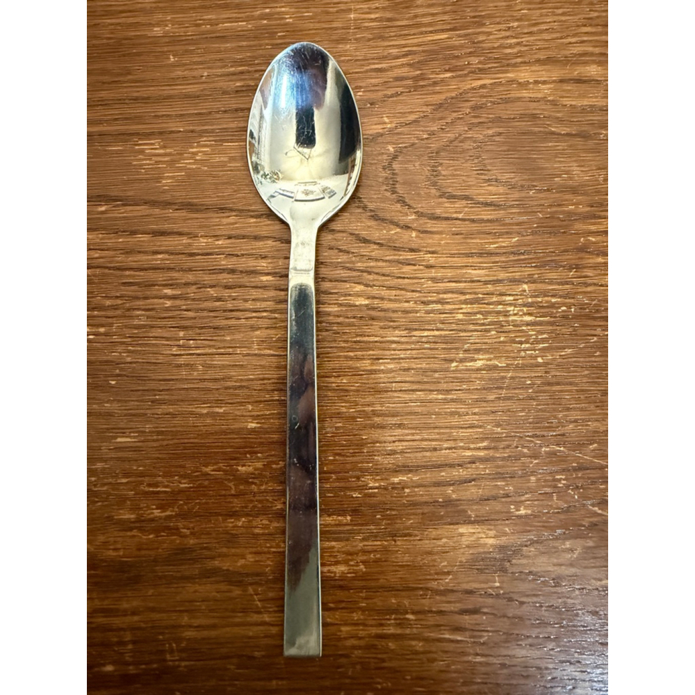 Cambridge Stainless Steel Korea Long Handle Serving Spoon 9” Flatware Replacemen